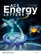 厦大王鸣生ACS Energy Letters：锂金属快到“碗”里